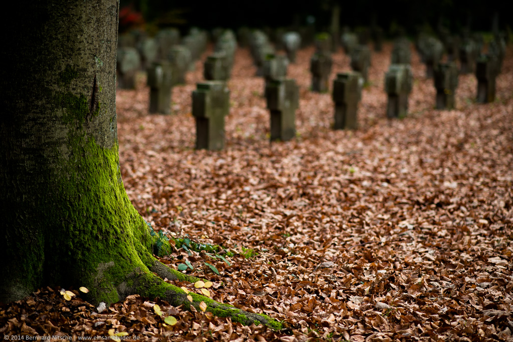 Waldfriedhof