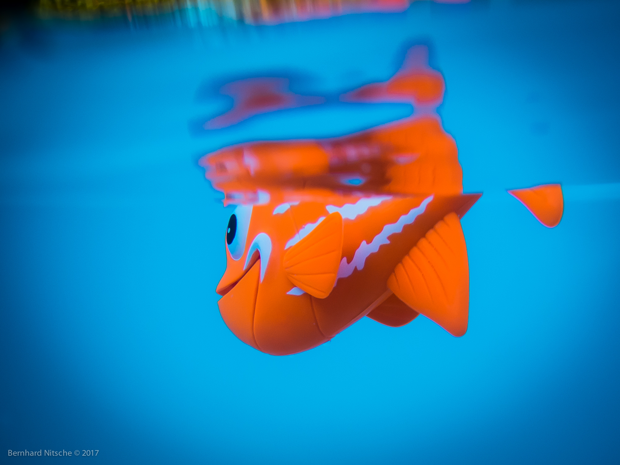 Saint Julien en Born