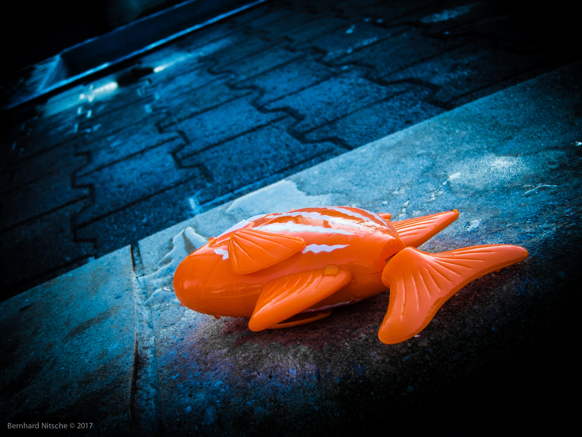 Saint Julien en Born