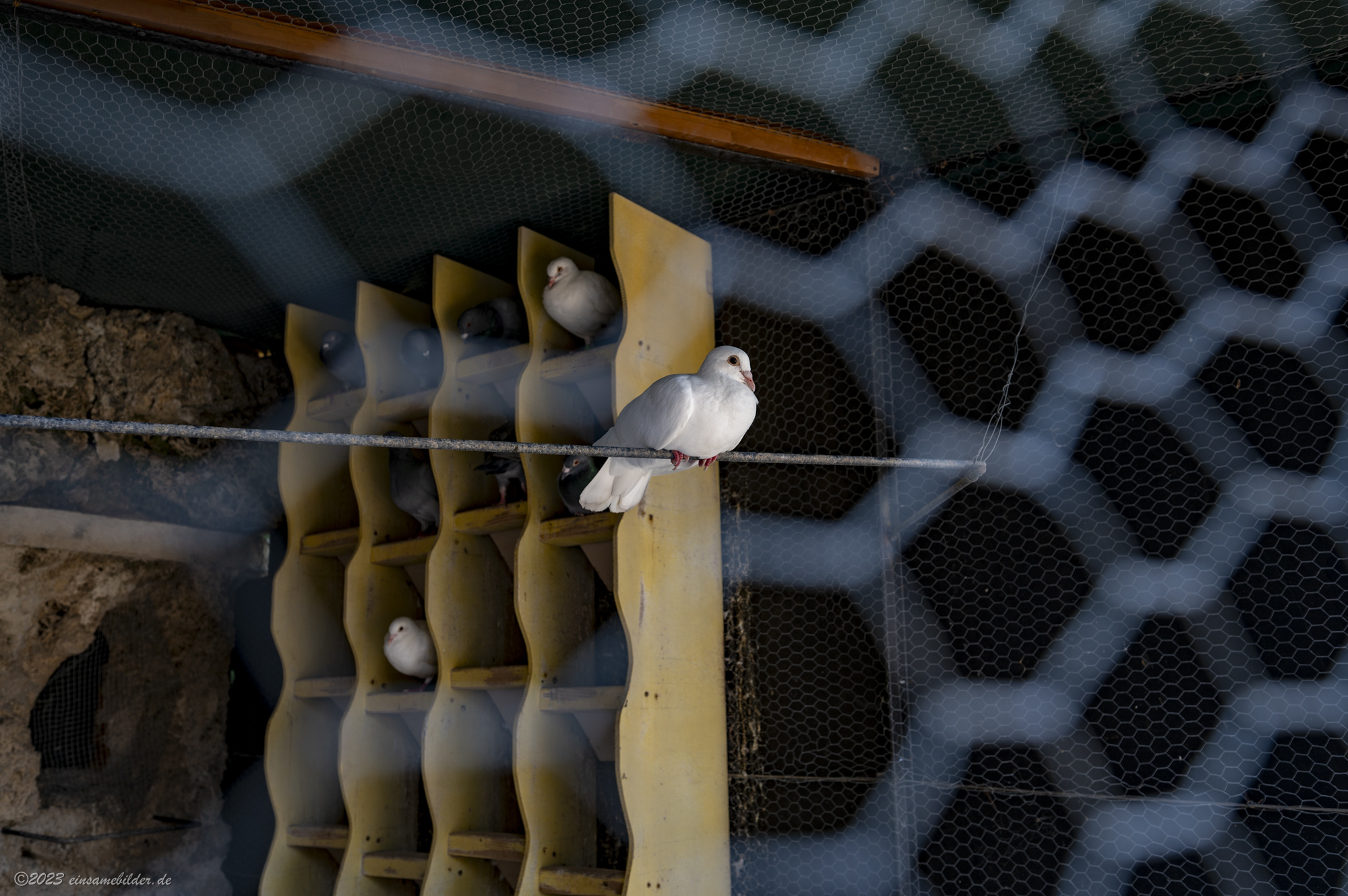 Vittoriale degli Italiani